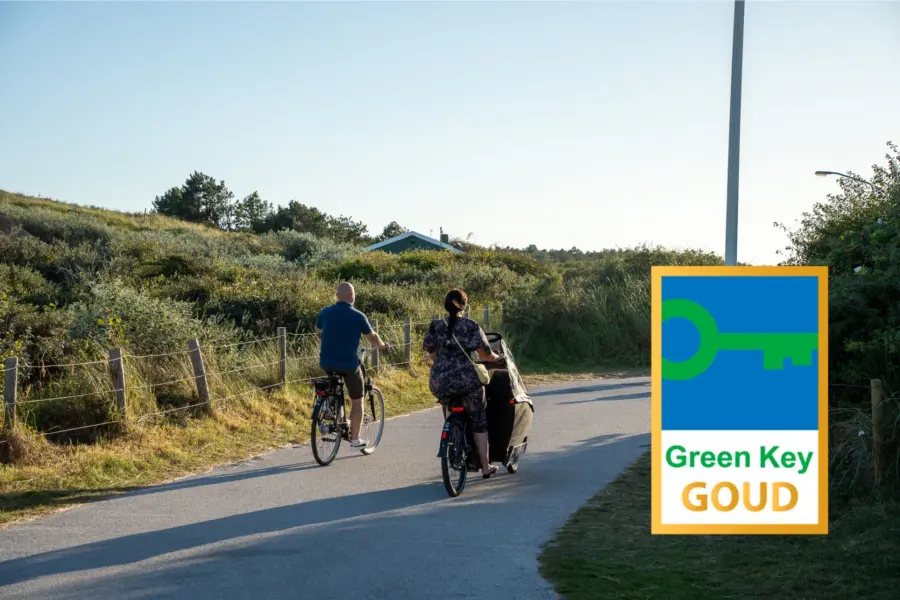 Fietsen duinoord green key goud